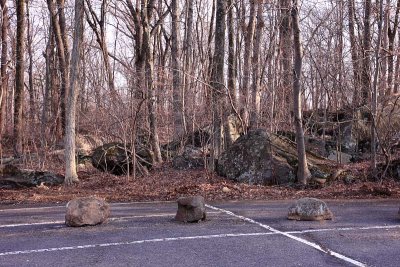 Boulders and Woods