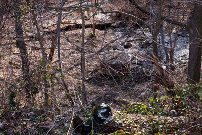 Drainage Basin