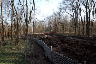 Streambank Project