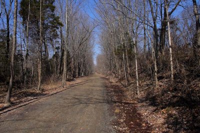 North of Harmon Road