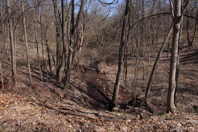 Spring Runoff
