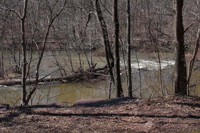 The Perky - Spring Thaw