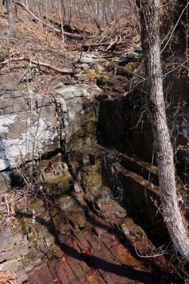 Spring Trickle