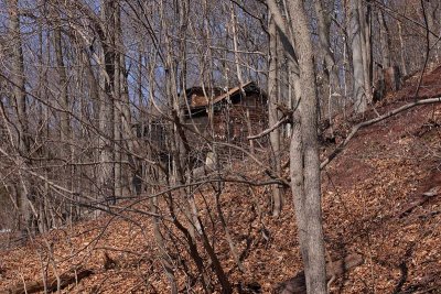 Cabin in the Woods