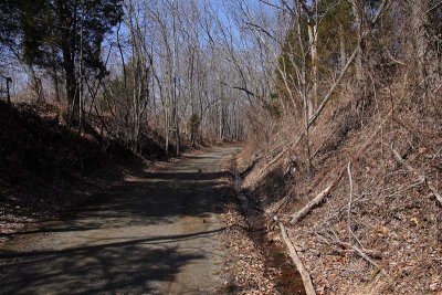 North from Hendricks Station Road