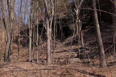 Trailside View