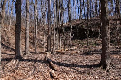 Trailside Terrain