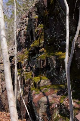 Mossy Rocks