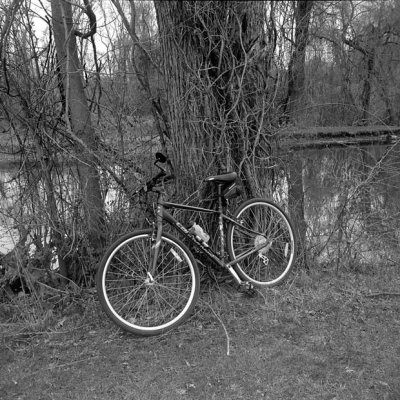 Along the Schuylkill