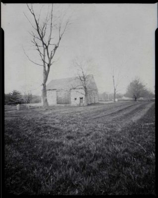 Barn and Trees