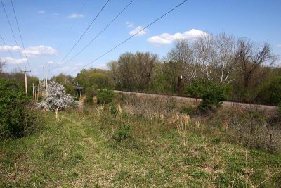 Park Trail