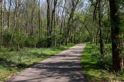 Wissahickon Trail South