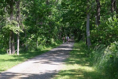 Above Plank Road