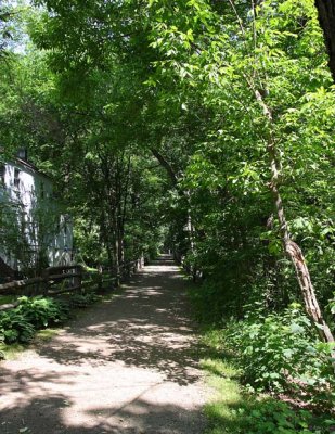 Tunnel of Shade