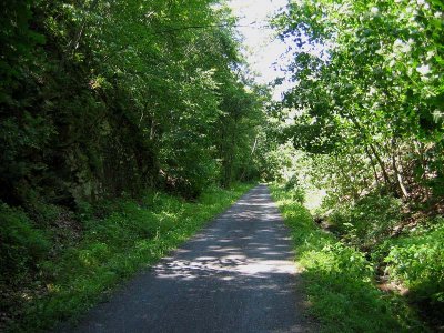 North Toward Auburn
