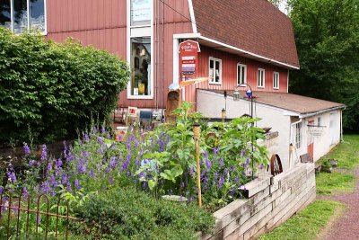 Flowers at Village Barn