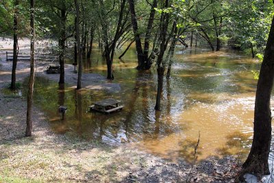 Picnic Ground