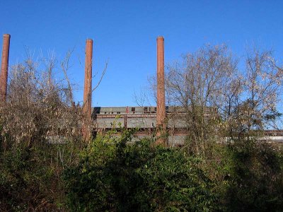 From the Schuylkill River Trail