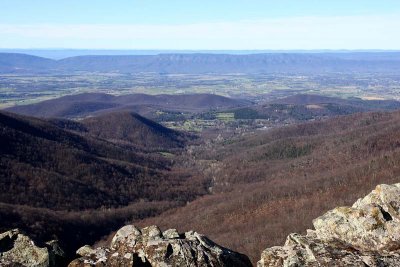 Overlook View