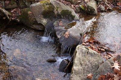 Babbling Brook