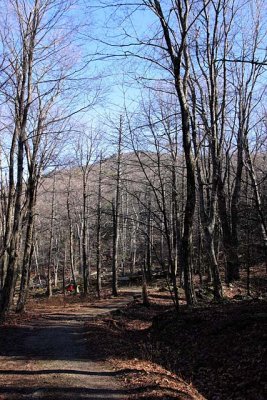Little Stony Man Trail