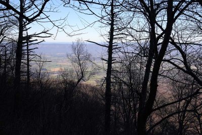 Off the Trail