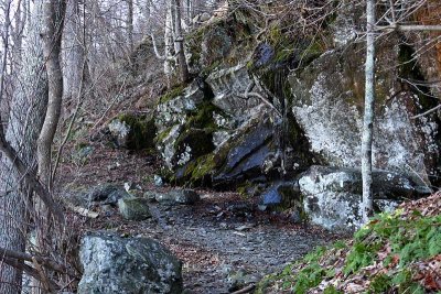 Little Stony Man Trail