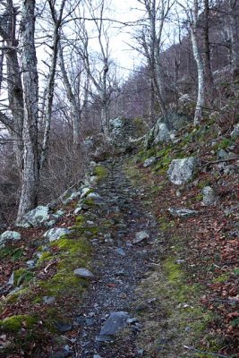 Little Stony Man Trail