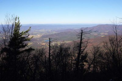 Off Trail View