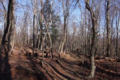 Appalachian Trail