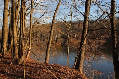 Along Knight Lake