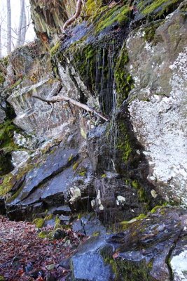 Trailside Rocks