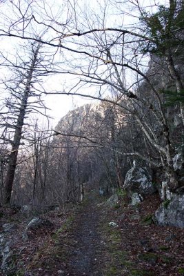 Trail