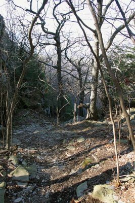 Steep Cross Trail