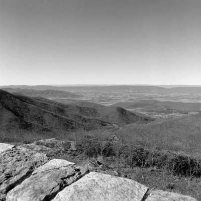 Timber Hollow Overlook