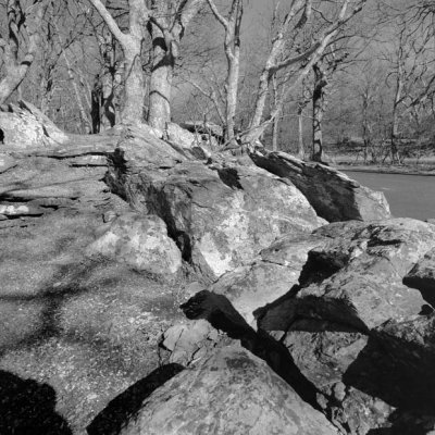 Roadside Rocks