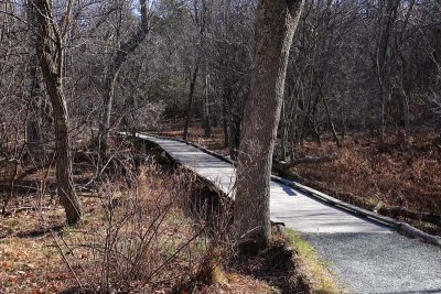 Wetlands Crossing