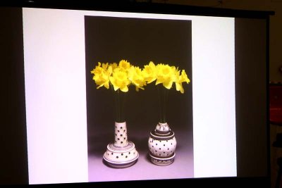 Daffodil Vases