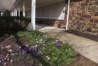 Covered Walkway