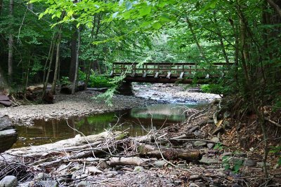 Foot Bridge