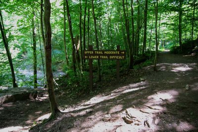 Trail Choice