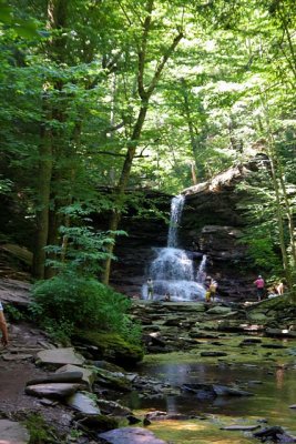 Murray Reynolds Falls