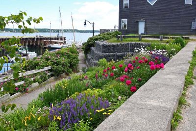 Waterfront Garden