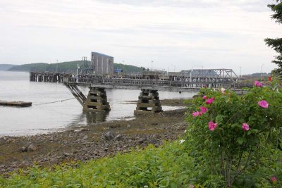 Tide's Out