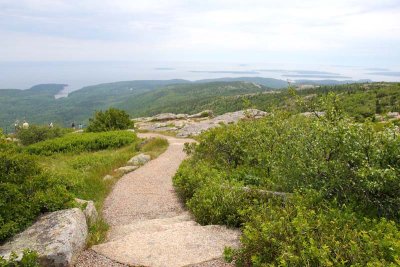 Paved Path