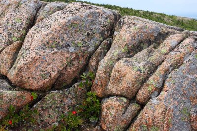 Mountaintop Rocks