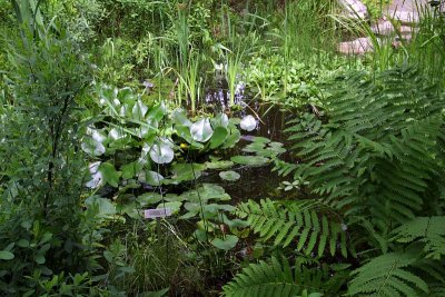 Marshlands Portion
