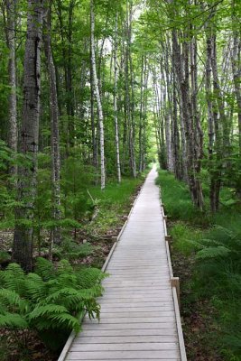 A Boardwalk