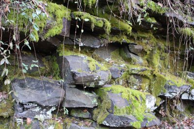 Mossy Rocks