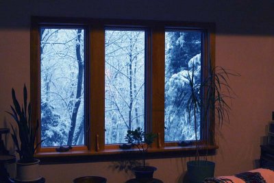  Window & Snow.